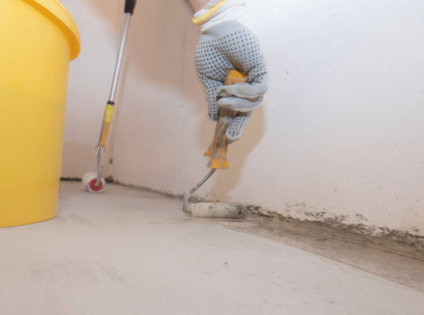 Best Termite Inspection and Treatment  in Stonybrook, PA